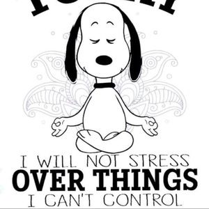 Meet your Posher, Toby